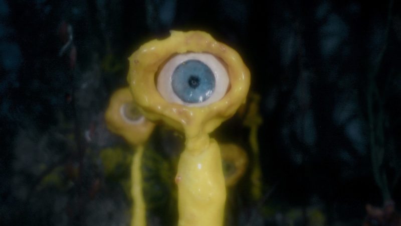 Konkurs Międzynarodowy V: Wkraczając w mgłę - okładka