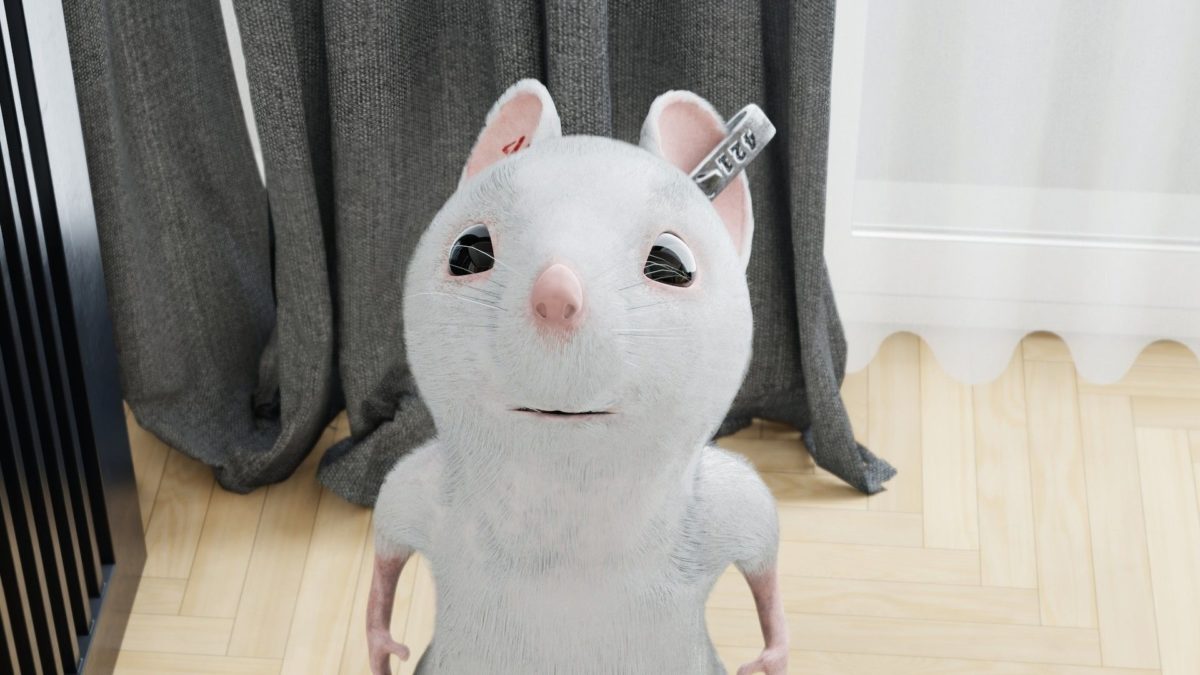 Konkurs Międzynarodowy VI: Pętla czasu - kadr 2