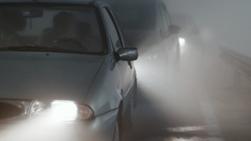 Focus on Talent: Królewska Akademia Sztuk Pięknych KASK - okładka