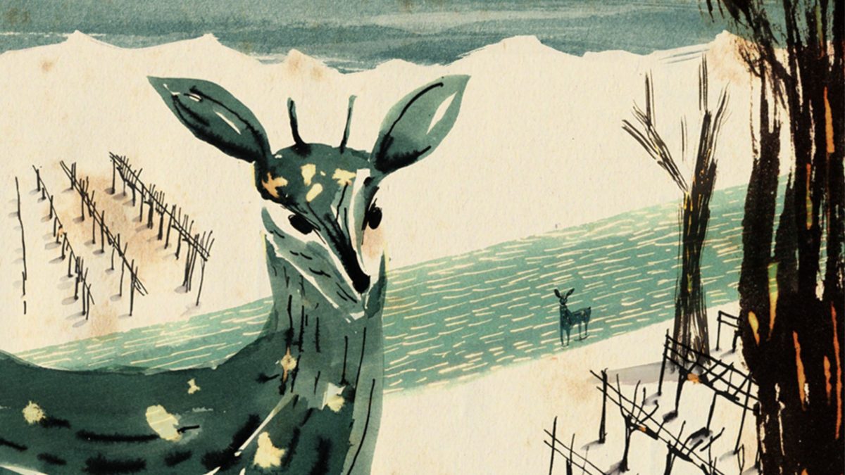 Współczesna animacja hiszpańska I - kadr 2