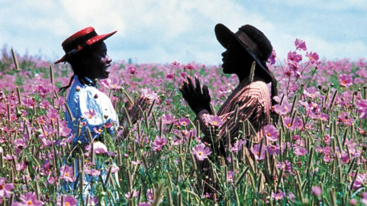 Kolor purpury - kadr 2