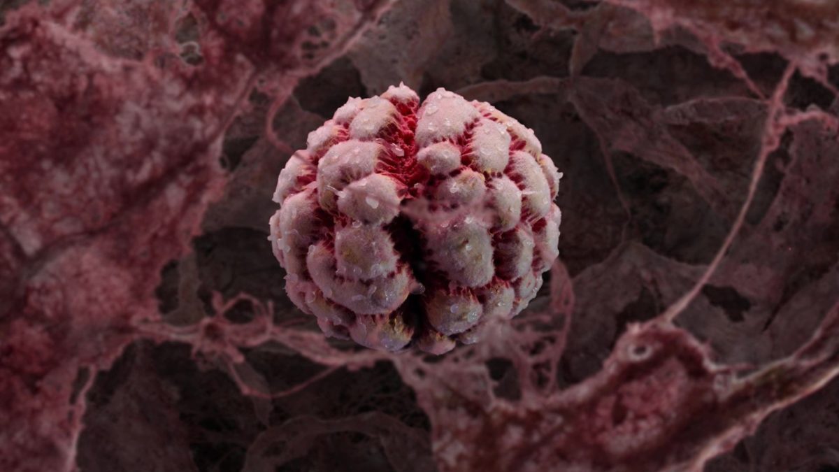 Międzynarodowy Konkurs Filmów Krótkometrażowych - Set I - Z PIEKŁA KU ZIEMI OBIECANEJ (I VICE VERSA) - kadr 3