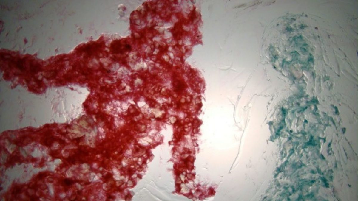 Filmy z muzyką Sebastiana Ładyżyńskiego - kadr 3