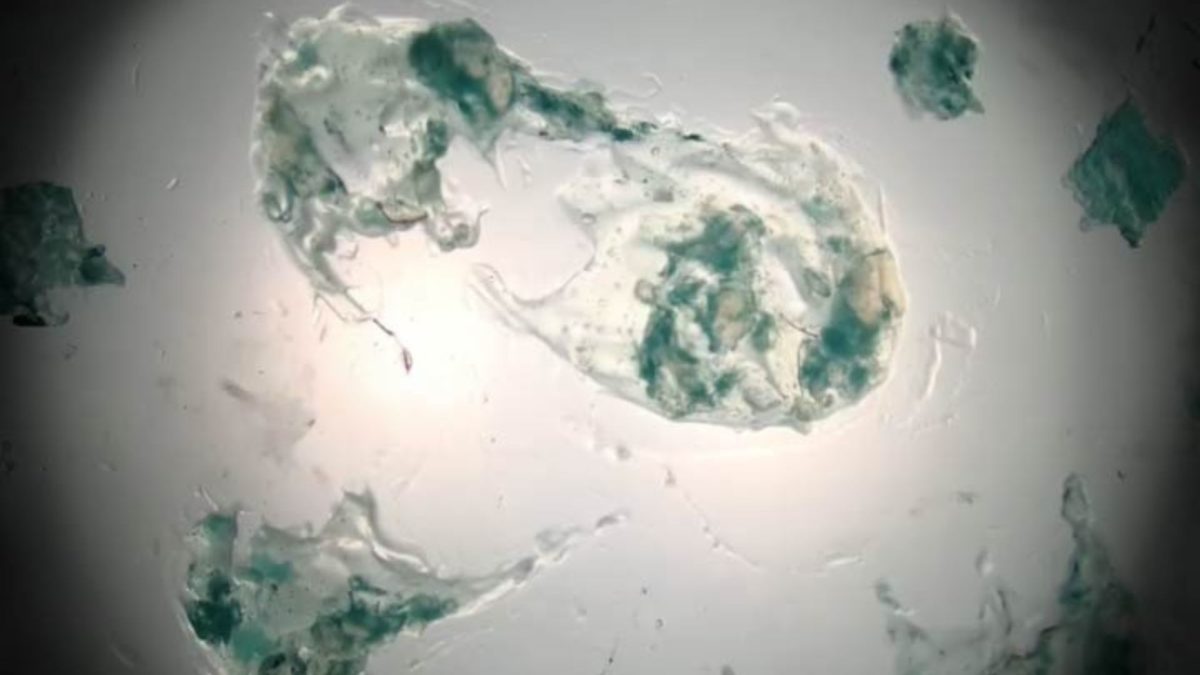 Filmy z muzyką Sebastiana Ładyżyńskiego - kadr 1