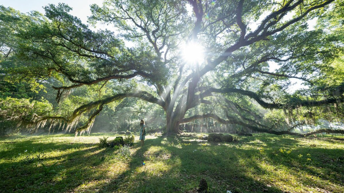 Gdzie śpiewają raki - kadr 2