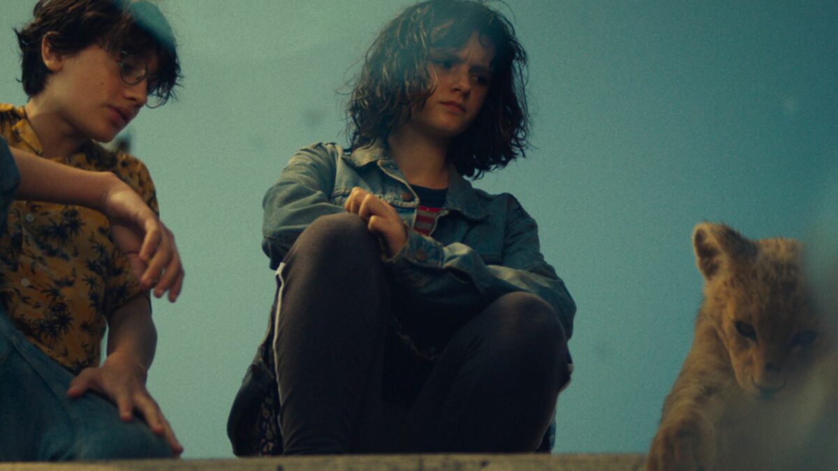 King: Mój przyjaciel lew - kadr 2