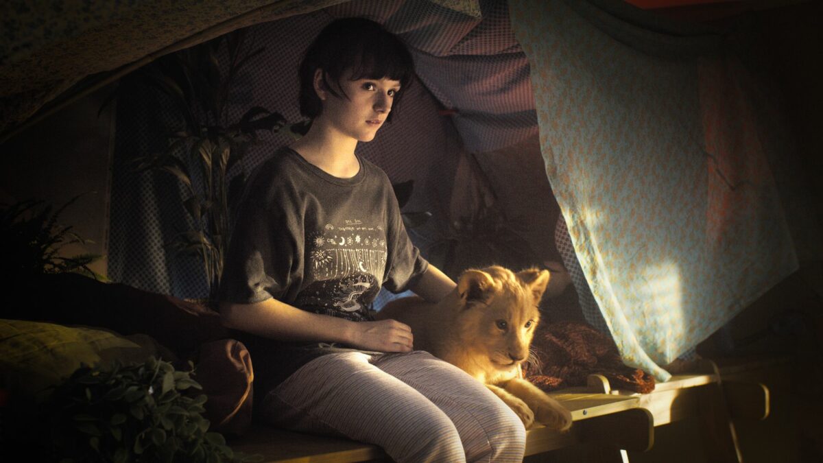 King: Mój przyjaciel lew - kadr 3