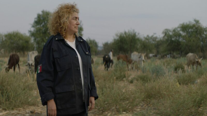 Ukryty Klejnot - okładka