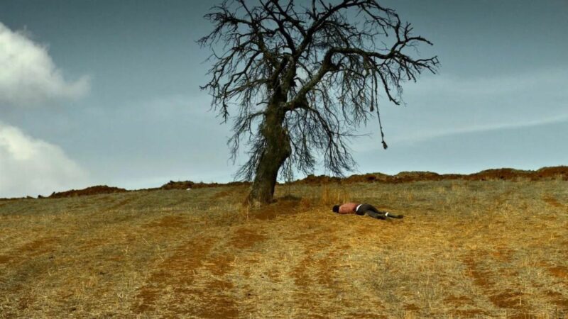 Pole i stare drzewo bez liści a pod nom leży mężczyzna.