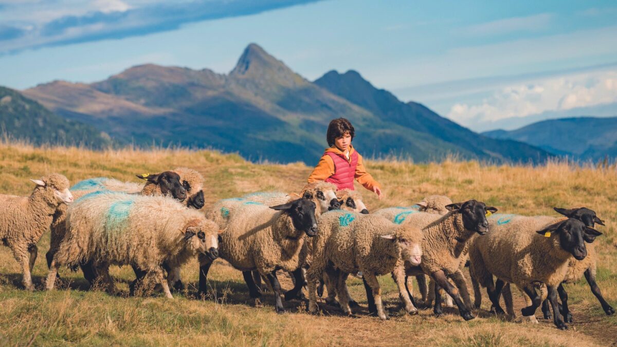 Bella i Sebastian: Nowe Pokolenie - kadr 2