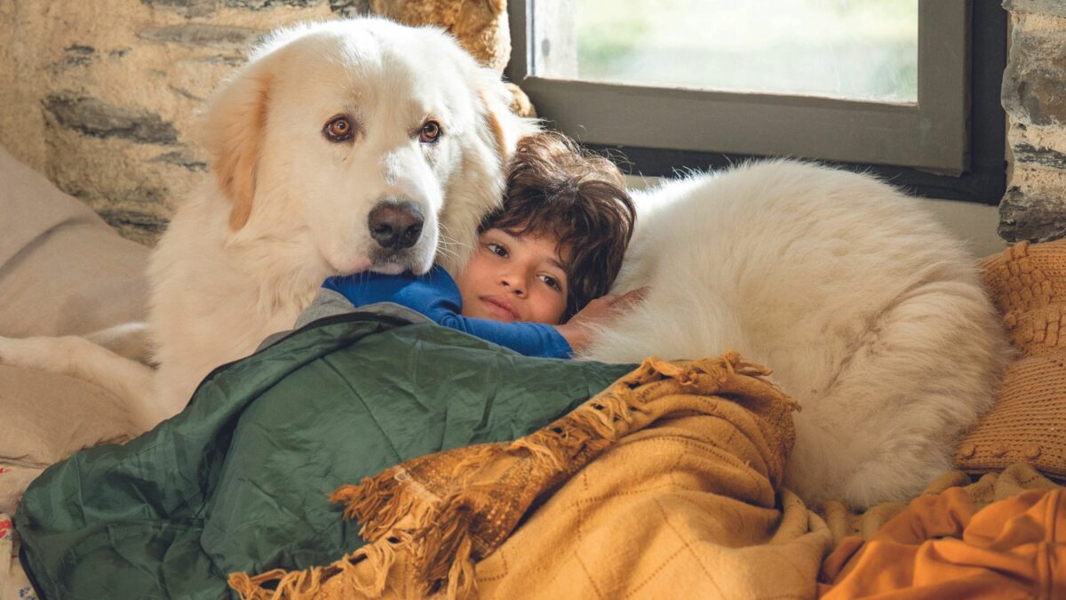 Bella i Sebastian: Nowe Pokolenie - kadr 3