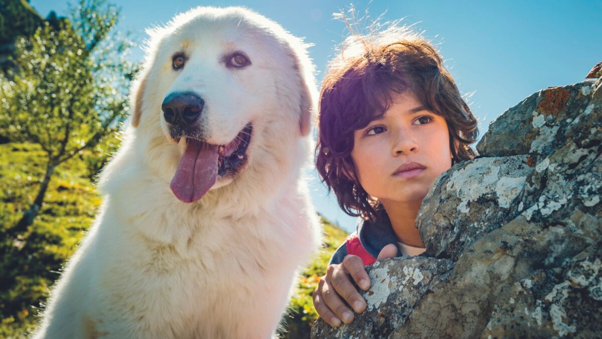 Bella i Sebastian: Nowe Pokolenie - kadr 2