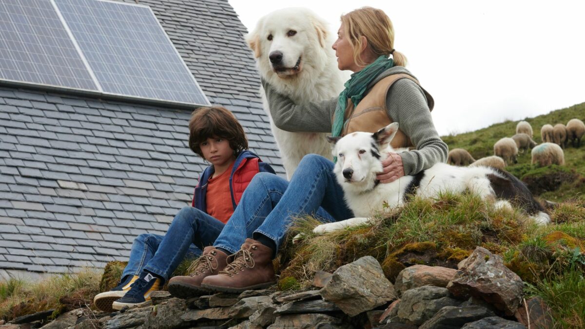 Bella i Sebastian: Nowe Pokolenie - kadr 3