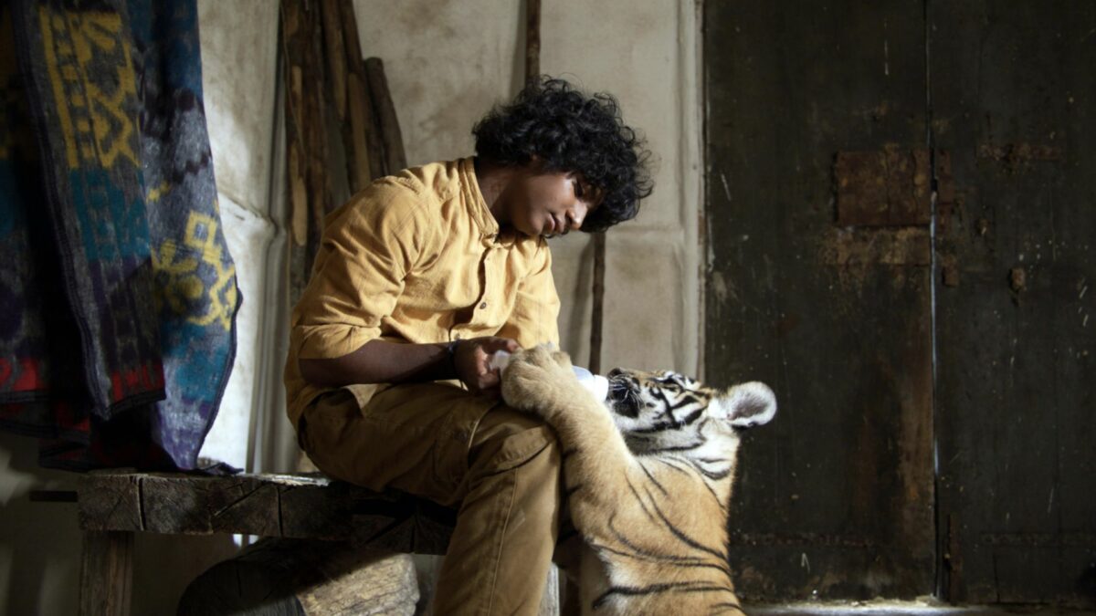 Pimi z Krainy Tygrysów - kadr 1