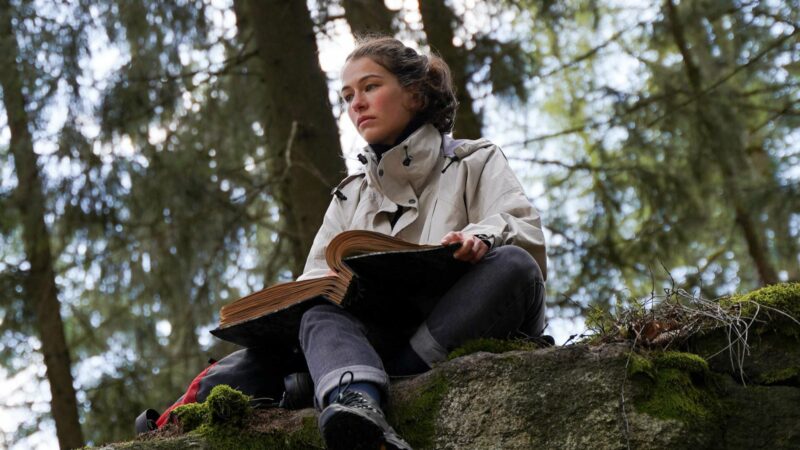 Milczący las - okładka