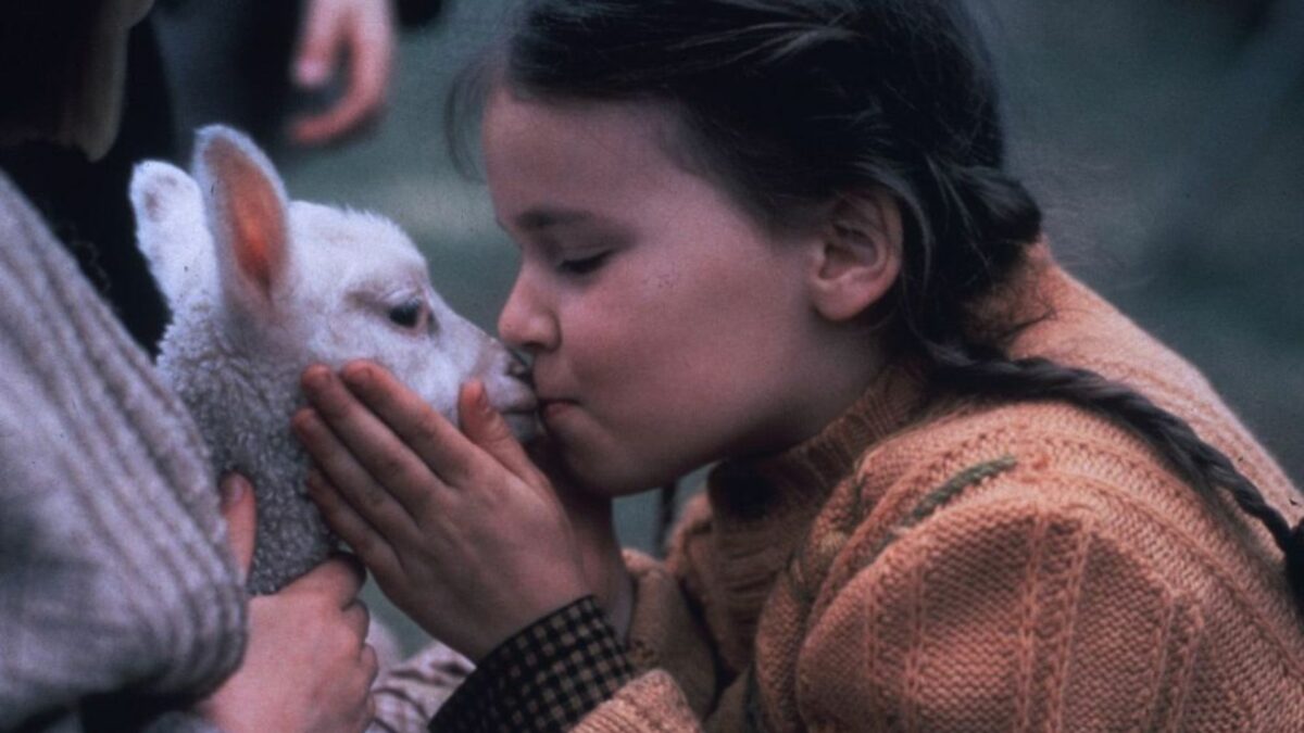 Nowe przygody dzieci z Bullerbyn - kadr 1