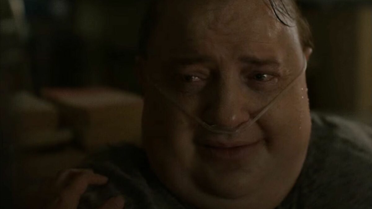 Wieloryb - zdjęcie 2