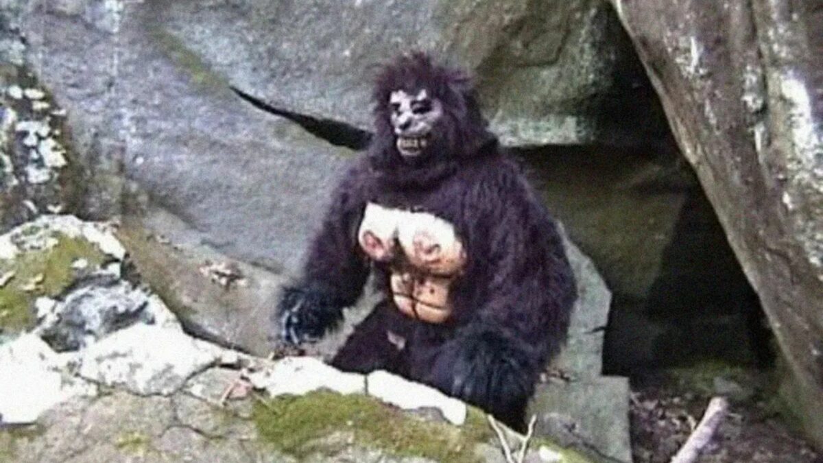 Wiela stopa pomiędzy leśnymi skałami.