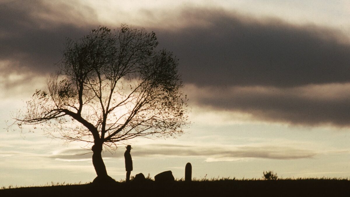 Pejzaż na stepy i drzewo, pod drzewem widać postać stojącą nad nagrobkiem.