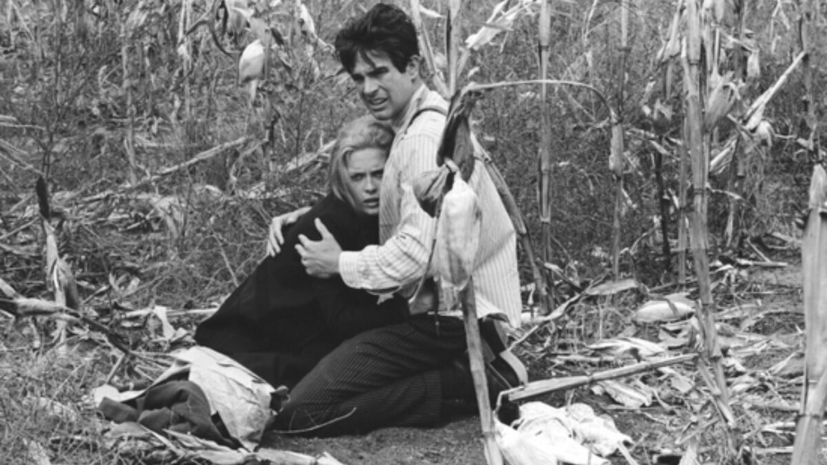 Kobieta przytulona do mężczyzna na tle pola kukurydzy.