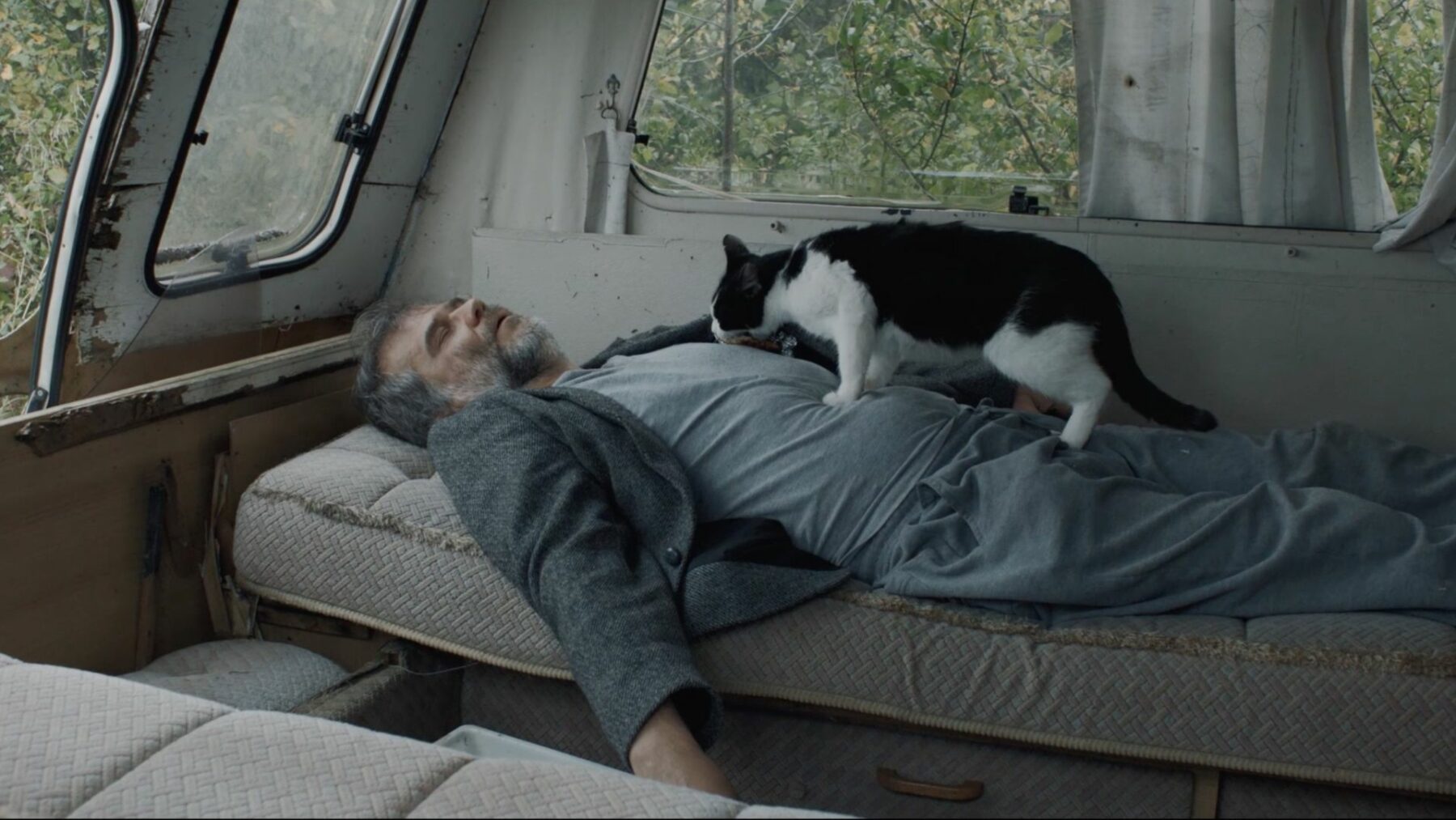 Mężczyzna śpi w kamperze z kotem na brzuchu.