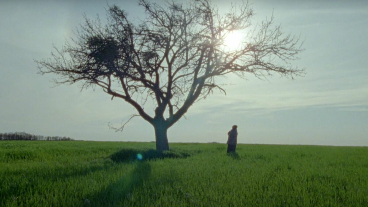 Konkurs Filmów Krótkometrażowych blok IV - kadr 3