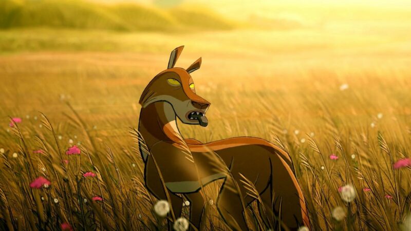 Międzynarodowy Konkurs Filmów Pełnometrażowych: Four souls of coyote - okładka