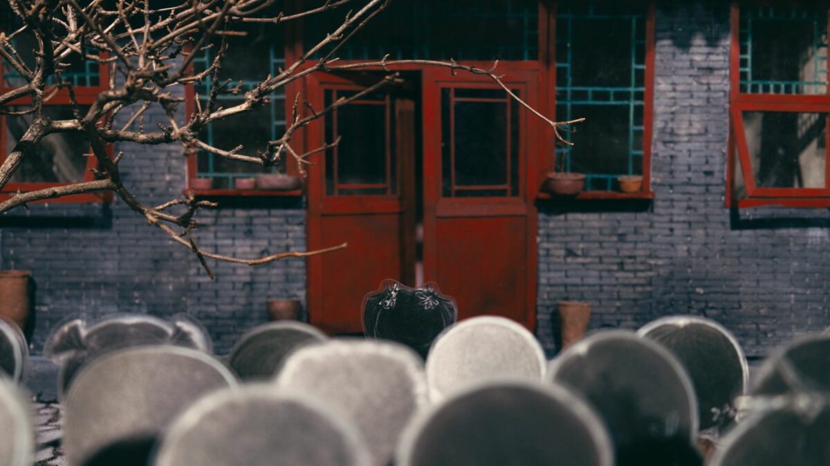 Międzynarodowy Konkurs Filmów Krótkometrażowych – SET IV: PRZEMIJANIE - kadr 3
