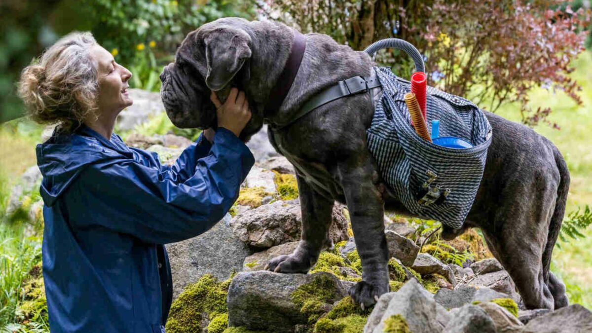 Starsza Pani na spacerze z psem.