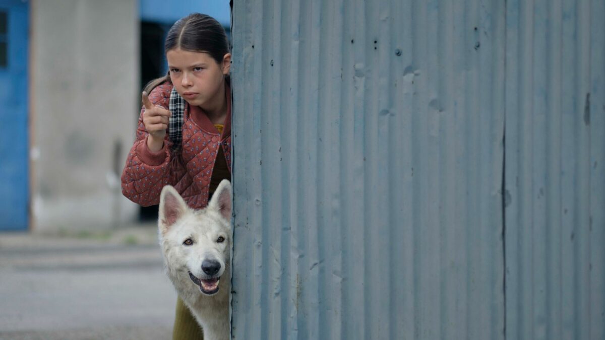 Dziewczynka i pies skradający się za murem.