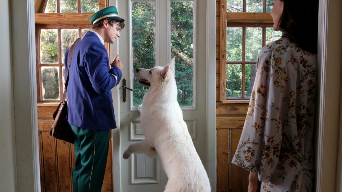 Pies skacze na listonosza, który wszedł do domu.