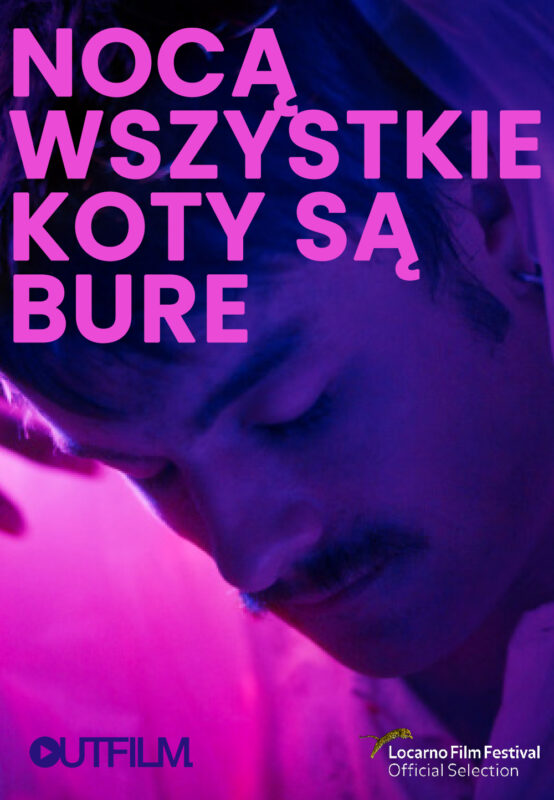 Nocą wszystkie koty są bure - okładka