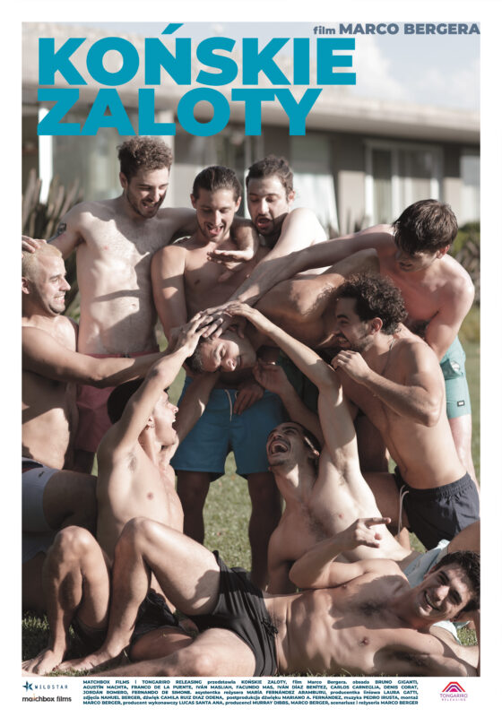 Końskie zaloty - okładka