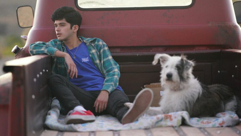 Arystotels i Dante odkrywają sekrety wszechświata - okładka