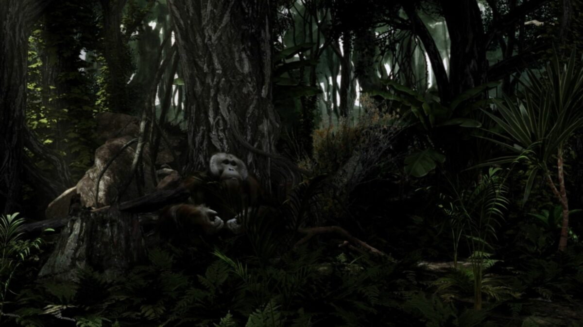 Konkurs Międzynarodowy: Set 5 – Duchy Chcą Być Widziane - kadr 2