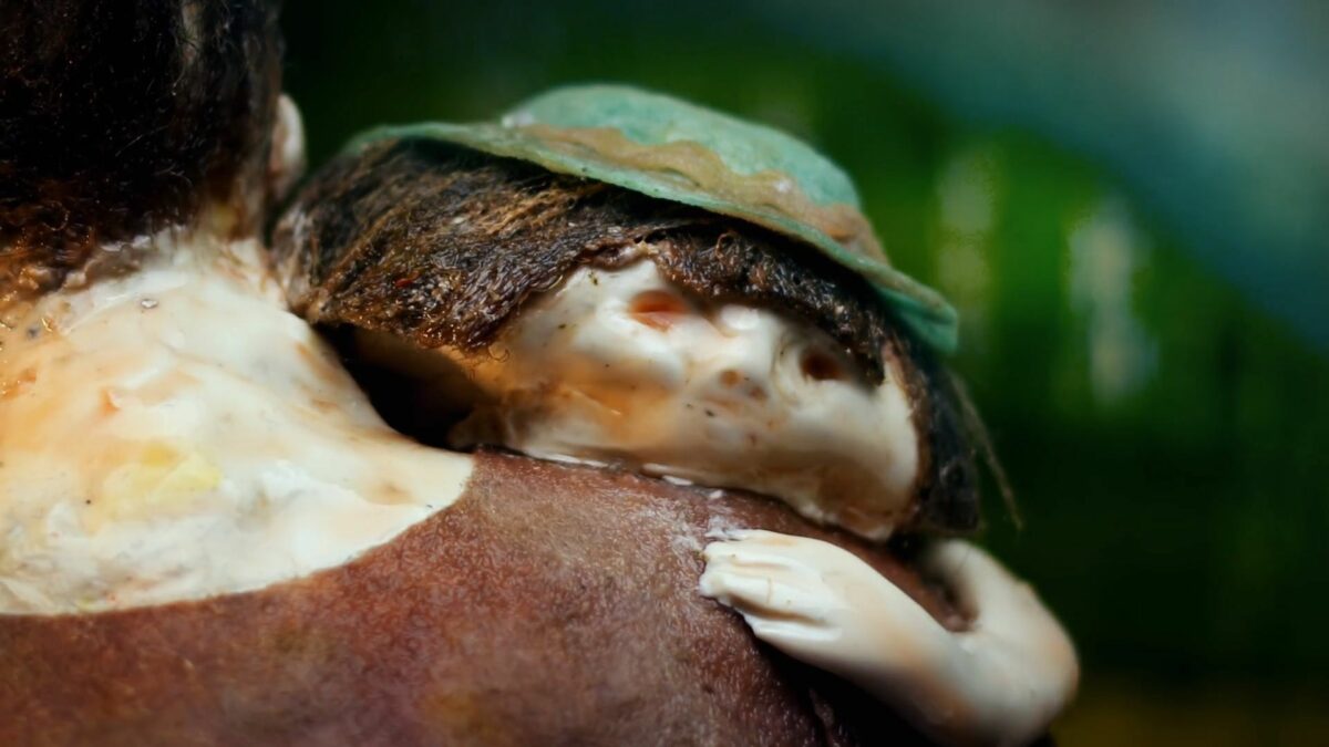 Best of Animator 2023 - Konkurs Polski i Konkurs Seriali - kadr 3