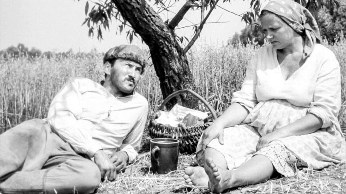 Mężczyzna w towarzystwie kobiety na pikniku pod drzewem.