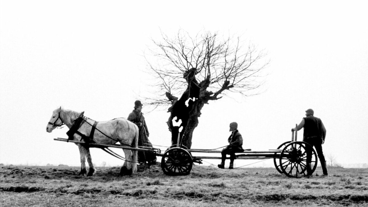 Koń ciągnący wóz z mężczyzną i chłopcem.