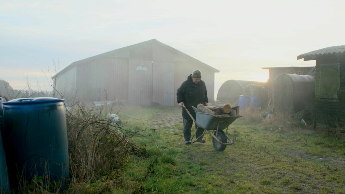 Starszy mężczyzna przenosi drewno na taczce