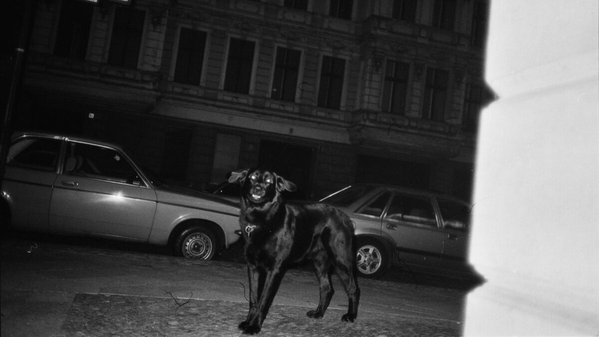 Jeszcze nie jestem tym, kim bym chciała - kadr 1