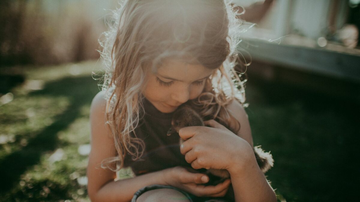 Dziewczynka przytula małe kaczątko