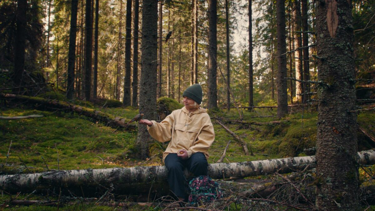 Pewnego razu w lesie - kadr 1