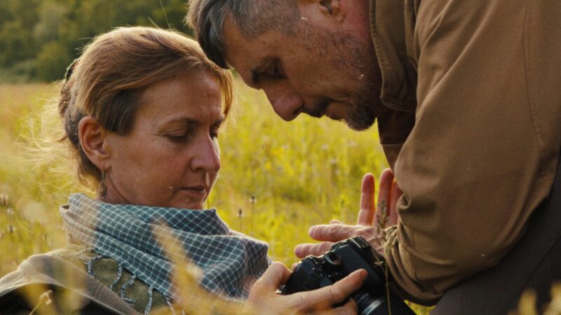 Wojna porcelanowa - okładka