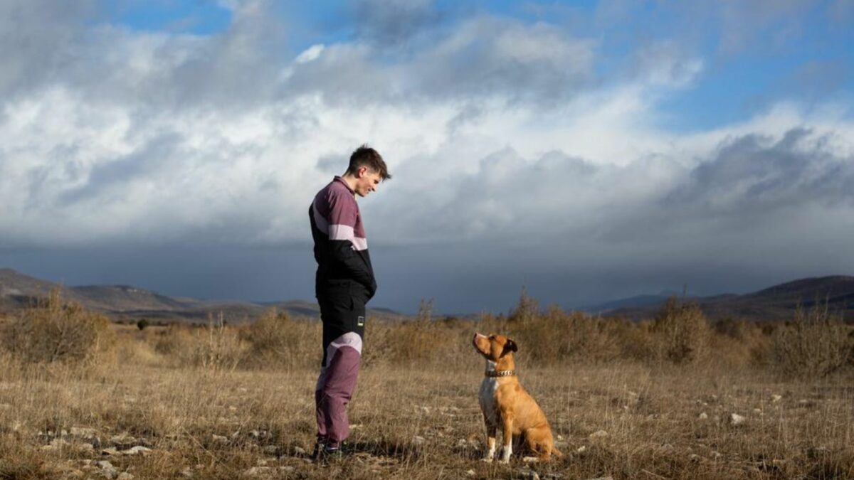 Młody chłopak trenujący psa.
