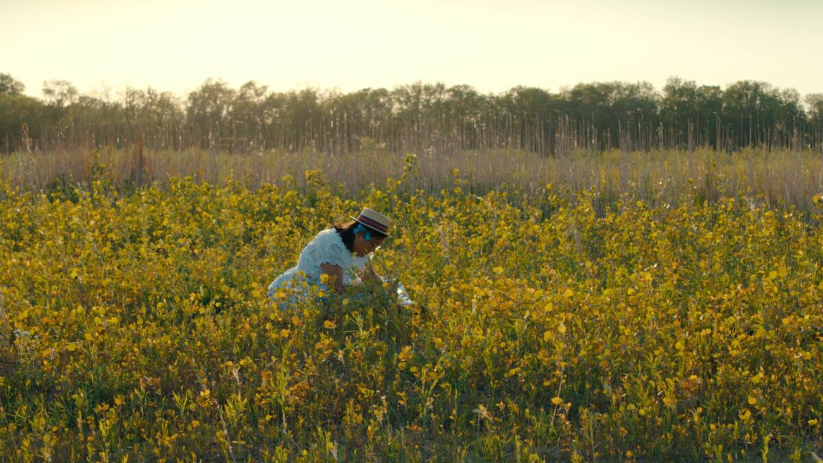 FILMY KRÓTKOMETRAŻOWE. blok IV - kadr 1