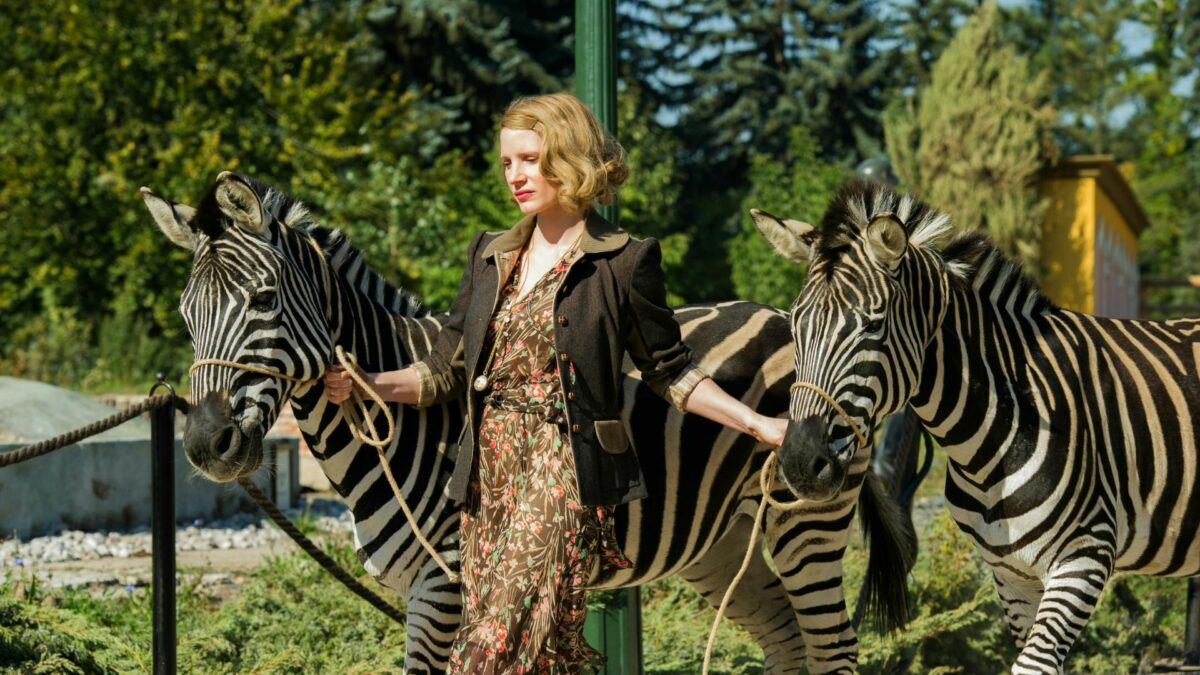 Dyrektorka zoo prowadząca dwie zebry.