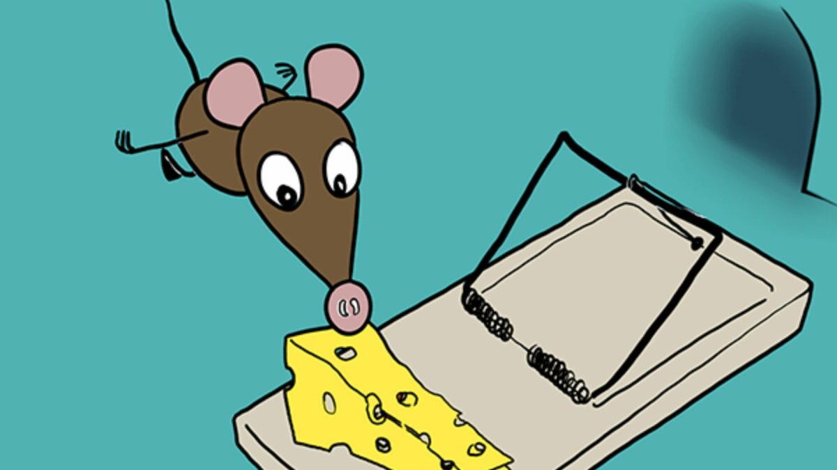 Ebele Okoye - kadr 2