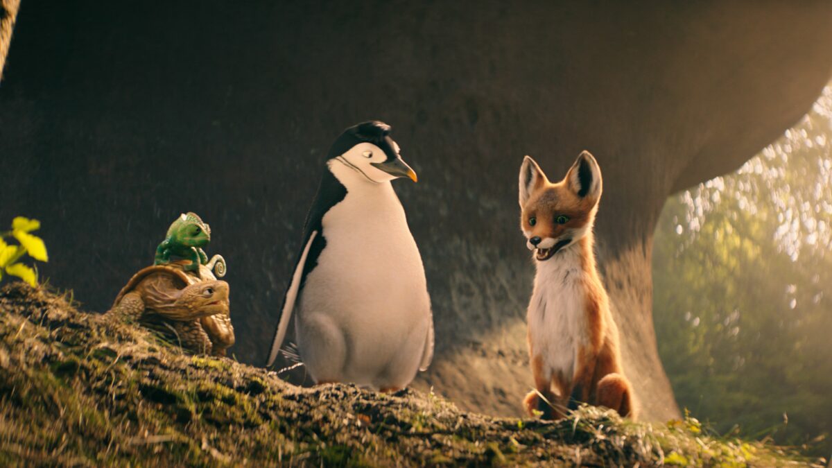 Magiczny lis w towarzystwie pingwina.