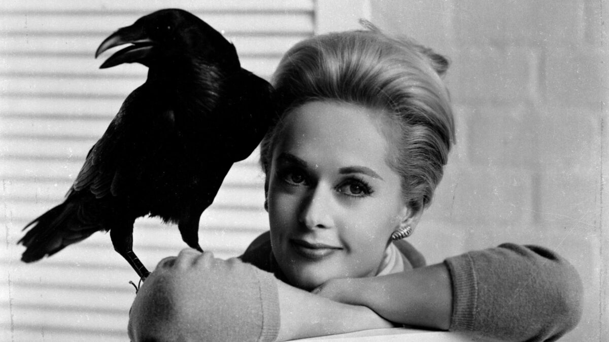 Kobieta i siedzący na jej ramieniu kruk.