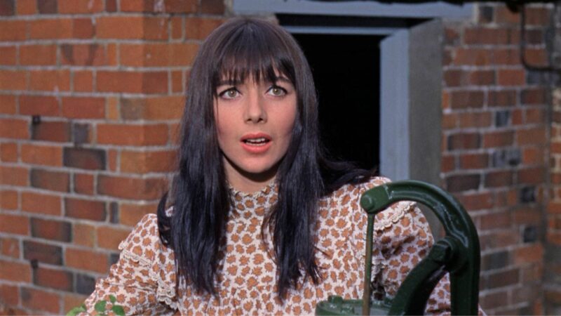 Twarz kobiety w brązowych włosach.